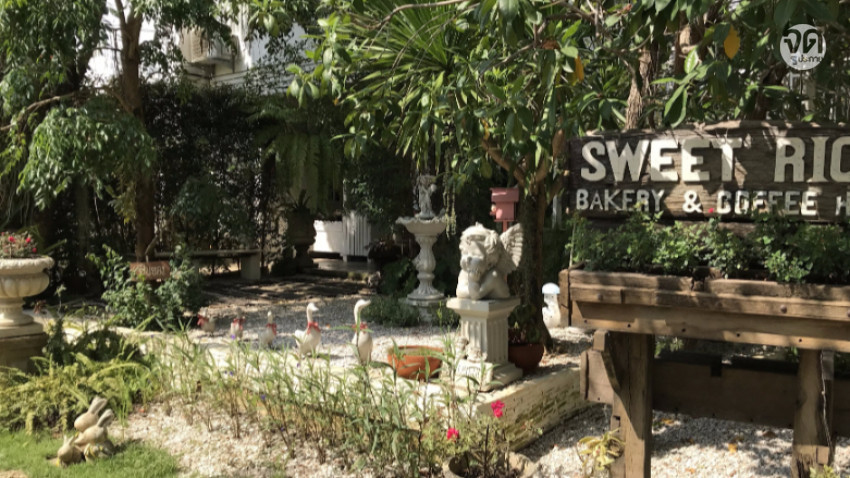 Sweet Rice Cafe อาหารพื้นเมืองสุโขทัยในบ้านลายลูกไม้