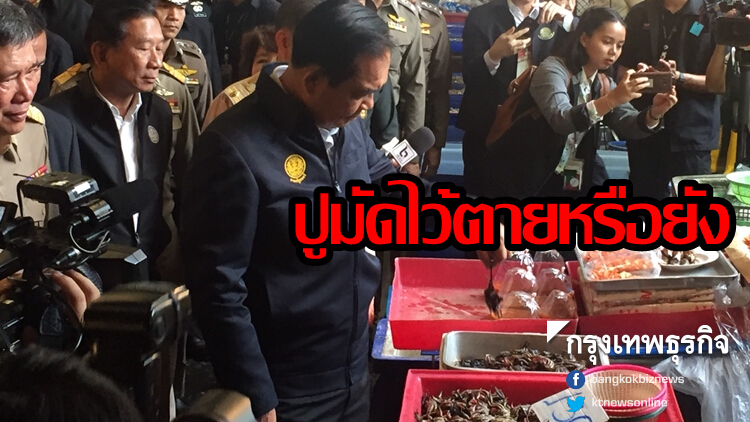 'ประยุทธ์' เดินตลาดสดพระประแดง แวะดูปูมัดไว้ตายหรือยัง