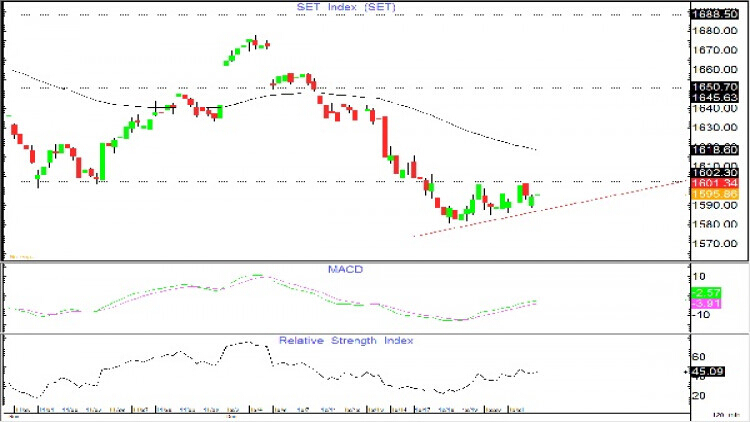 AFTERNOON CALL ACTION NOTES (24 ธ.ค.61)