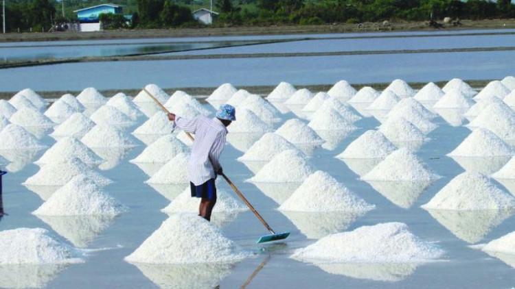 กระทรวงเกษตรฯ ผุดยุทธศาสตร์เกลือทะเลไทย 