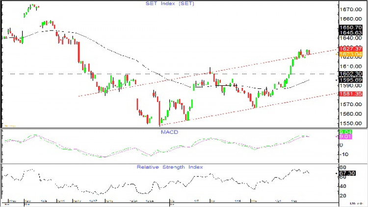 AFTERNOON CALL ACTION NOTES (25 ม.ค.62)