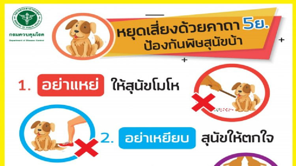 วัคซีนป้องกันโรคพิษสุนัขบ้าในไทย เป็นไปตามมาตรฐาน