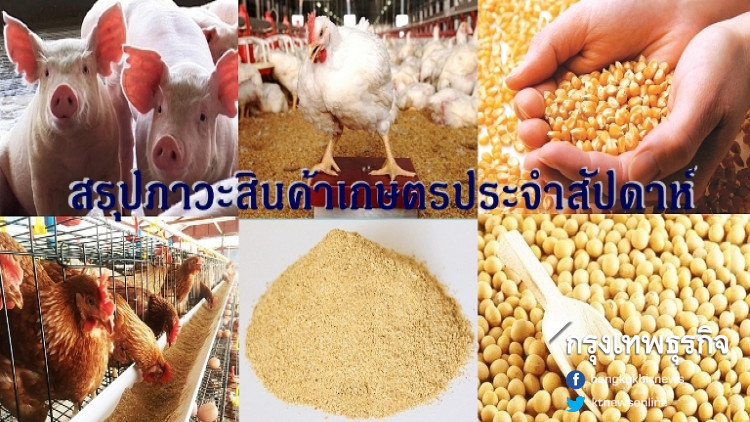 สรุปภาวะสินค้าเกษตรประจำสัปดาห์ วันที่ 21-25 มกราคม 2562