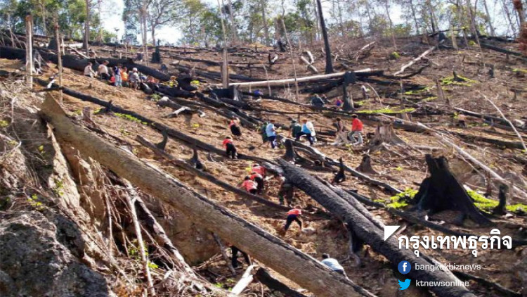 กรมป่าไม้เตือนใครเผาป่าคุก 20 ปี ปรับ 2 ล้าน