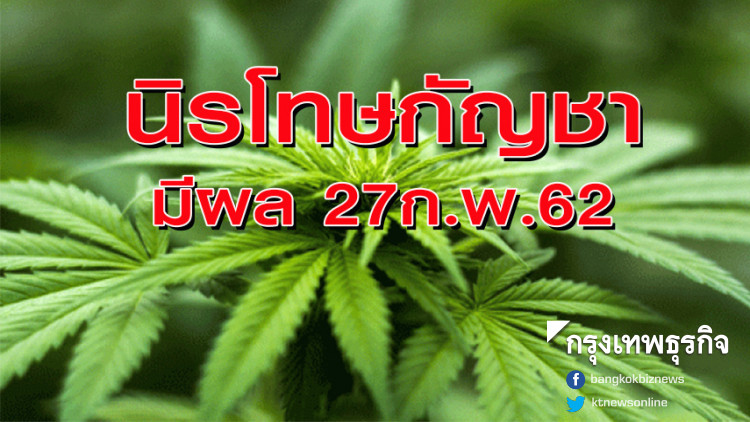 ราชกิจจาฯ เผยแพร่ประกาศ นิรโทษครอบครองกัญชา เริ่ม 27ก.พ.62