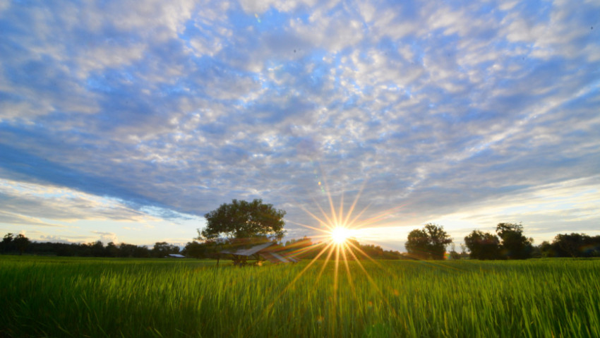 นาหอม 'สระใคร' ง่ายงามตามวิถี