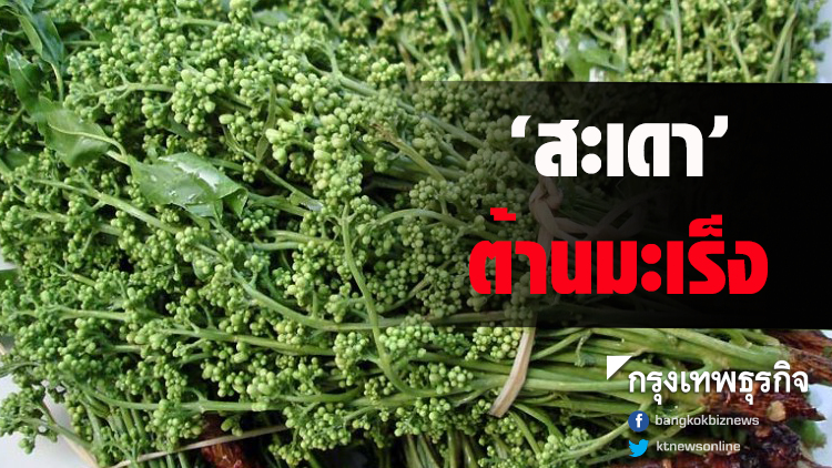 หมอชู 'สะเดา' สมุนไพรตามฤดูกาลผักพื้นบ้านต้านโรคมะเร็ง
