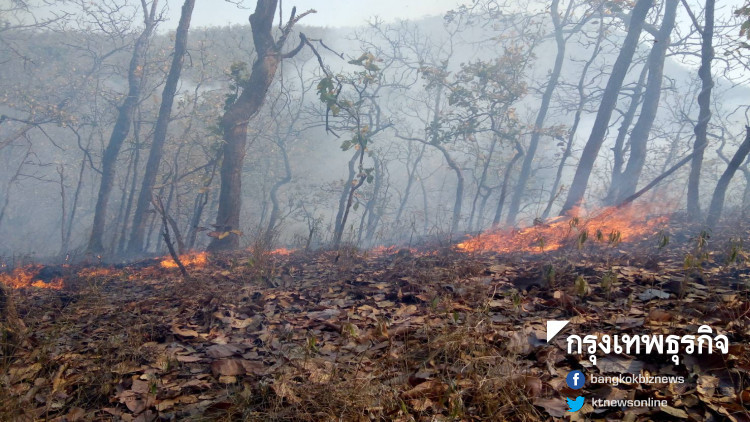 9 จว.ภาคเหนือคุณภาพอากาศภาพ อยู่ในระดับมีผลกระทบต่อสุขภาพ