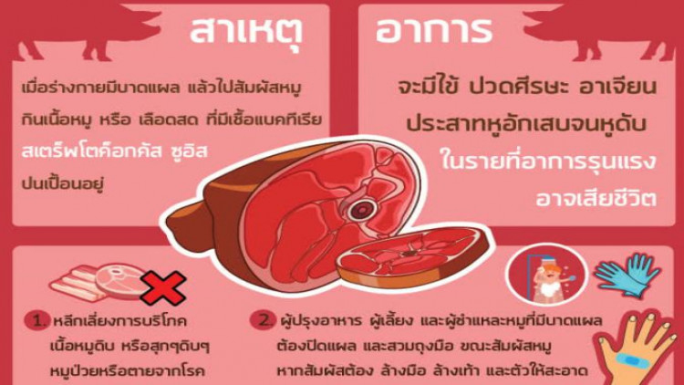 หมอเตือน เลี่ยงกินหมูดิบ เสี่ยงโรคไข้หูดับ