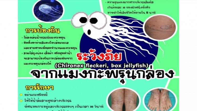 เตือนภัยอันตรายจาก 'แมงกะพรุนกล่อง'