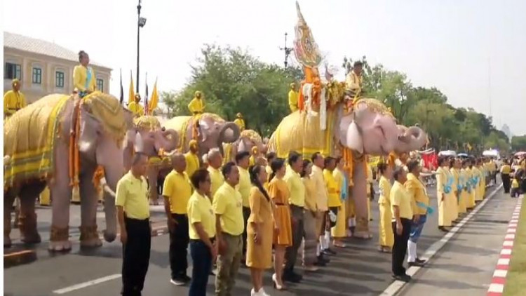 ขบวนช้าง 11 เชือกเดินขบวนเทิดพระเกียรติในหลวงรัชกาลที่ 10