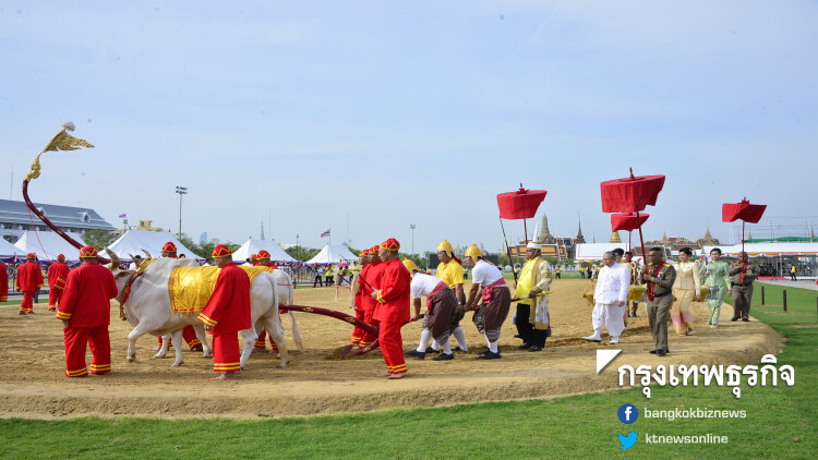 ซ้อมใหญ่งานพระราชพิธีพืชมงคลจรดพระนังคัลแรกนาขวัญ