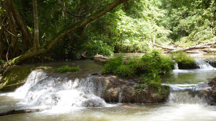 คพ. ฟื้นฟูห้วยคลิตี้ ก้าวหน้าเกือบ 50% ตามแผน 