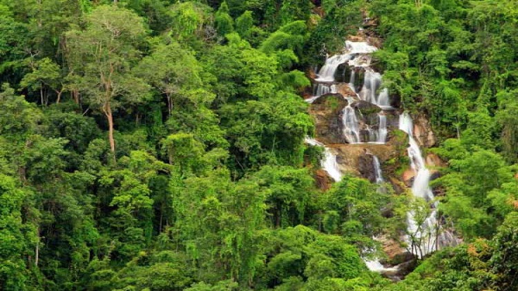 ลุ้น“ป่าแก่งกระจาน”คว้ามรดกโลกปีนี้