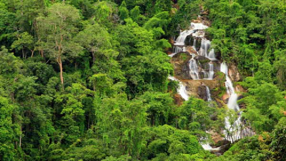 ลุ้น“ป่าแก่งกระจาน”คว้ามรดกโลกปีนี้