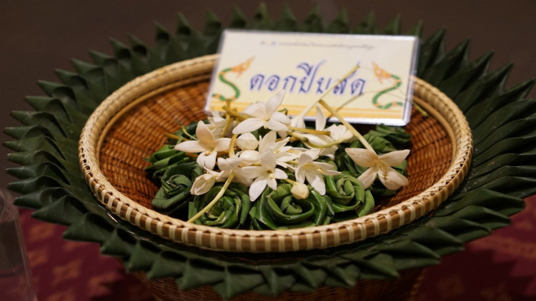 กาสะลองหรือดอกปีบ มีสรรพคุณบรรเทาอาการโรคหืด