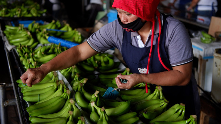 จีนใช้ ‘การทูตกล้วย’ พิชิตใจฟิลิปปินส์
