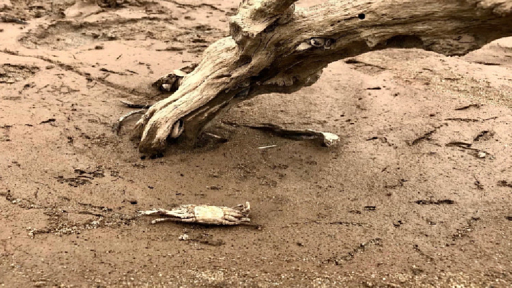 รายงาน: หายนะครั้งประวัติศาสตร์ ภูมิภาคลุ่มน้ำโขง?