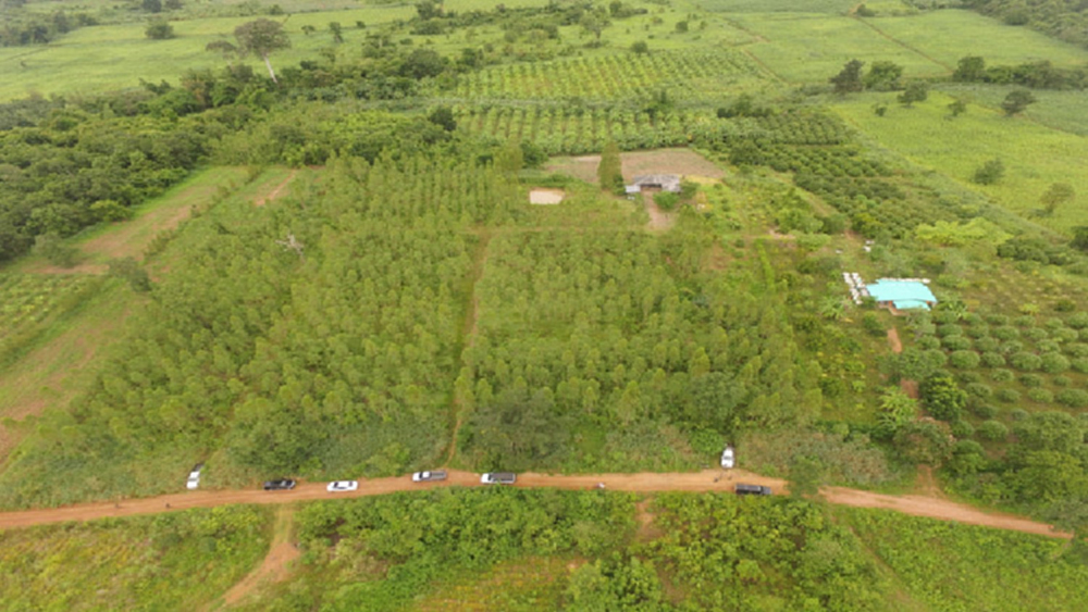 รายงาน: ยุทธศาสตร์ชาติ ทส. จากกรอบคิดสู่การปฏิบัติ