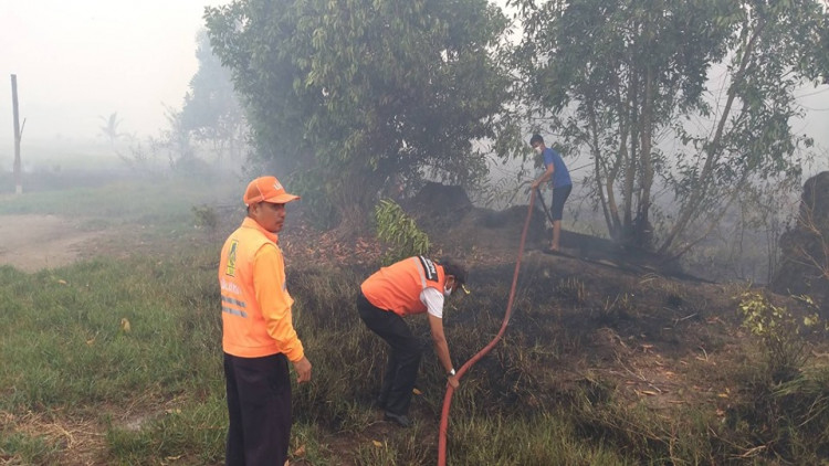 ไฟไหม้ป่าพรุควนเคร็ง ชาวบ้านเดือดร้อน 16,631 ราย ปภ.เร่งช่วยเหลือ