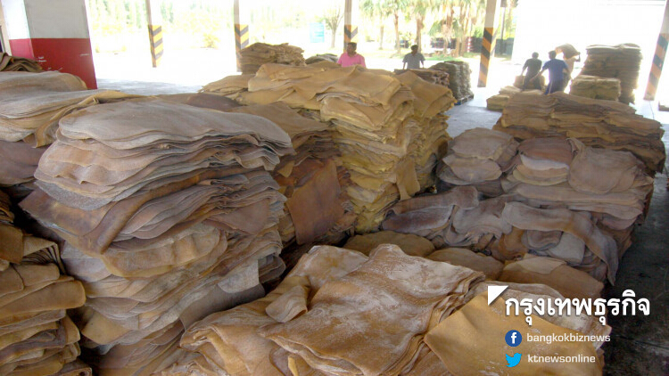 ราคายางพารา (27 ส.ค.62)