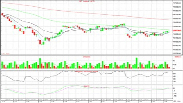 AFTERNOON CALL ACTION NOTES (29 ส.ค.62)