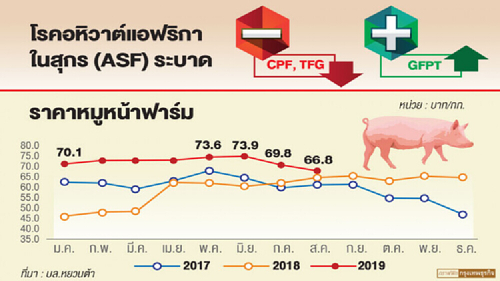 เสี่ยงโรค "อหิวาต์หมู" ระบาด  กระทบ “ซีพีเอฟ-ไทยฟู้ดส์”