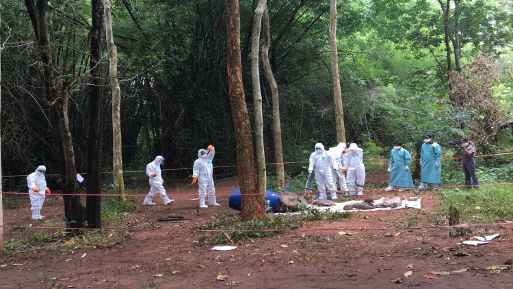 กรมอุทยานฯ ยังไม่ทำลายซากเสือของกลางวัดหลวงตาบัว