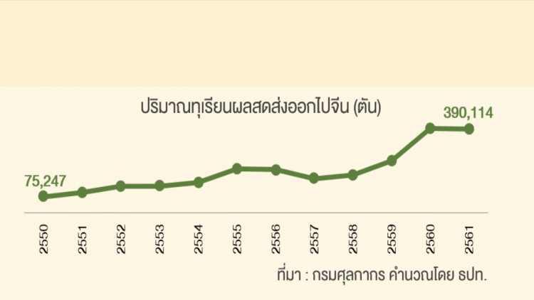 ทุเรียนไทย จะรุ่งหรือจะร่วง ?
