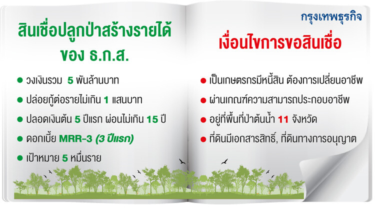 ธ.ก.ส.เปิดสินเชื่อ‘ปลูกป่า’5พันล้าน ช่วยเกษตรกรเพิ่มรายได้