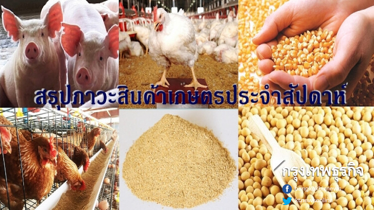 สรุปภาวะสินค้าเกษตรประจำสัปดาห์ วันที่ 23-27 กันยายน 2562