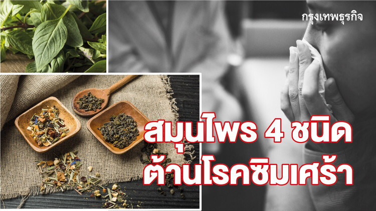 "ขมิ้นชัน บัวบก น้ำมันรำข้าว ฟักทอง" สมุนไพรแก้โรคซึมเศร้า