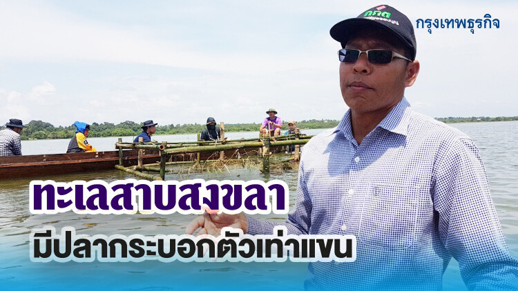 “เขตอนุรักษ์สัตว์น้ำบางขวน”พลิกฟื้น...ทะเลสาบสงขลา แหล่งอาหารสำคัญชาวบ้าน