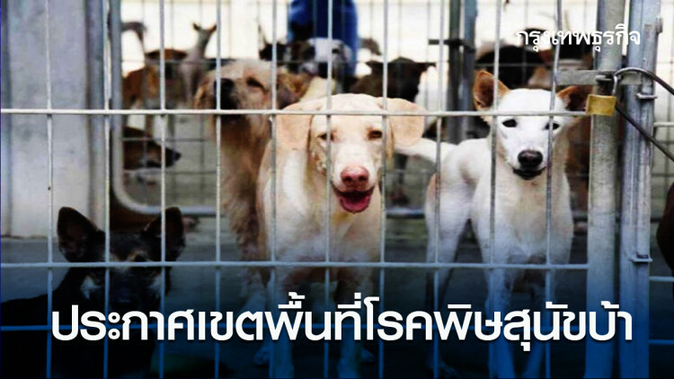 กรมปศุสัตว์ ประกาศเขตพื้นที่โรคพิษสุนัขบ้า ระบาดชั่วคราว จ.นนทบุรี