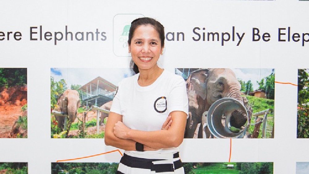 “ช้างชิล” ต้นแบบปางช้างเพื่อการอนุรักษ์ ยุติการทรมานสัตว์ป่า