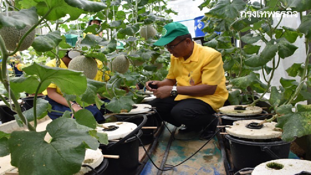 'คูโบต้า' พัฒนา 6 สตาร์ทอัพ สร้างนวัตกรรมเกษตร