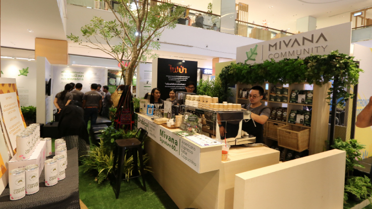 “มีวนา” ร่มเงากาแฟ ปลูกป่าในใจคนเมือง