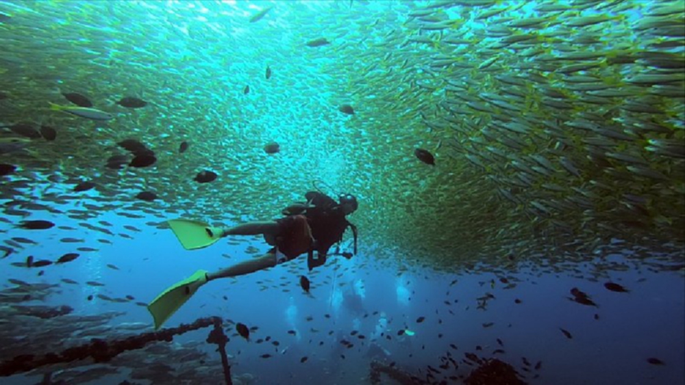 โอกาสและความท้าทาย การท่องเที่ยวนิยามใหม่แบบ "เศรษฐกิจสีน้ำเงิน"
