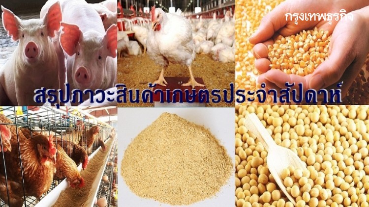 สรุปภาวะสินค้าเกษตรประจำสัปดาห์วันที่ 21-25 ตุลาคม 2562