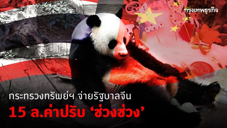 ก.ทรัพย์ฯ จ่ายรัฐบาลจีน 15 ล้านค่าปรับ‘ช่วงช่วง’