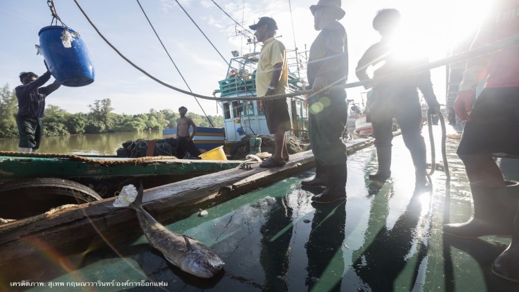 ภาคประชาสังคมเรียกร้อง 'ภาครัฐ' เร่งแก้ปัญหาสิทธิแรงงาน หลังสหรัฐตัดสิทธิจีเอสพี