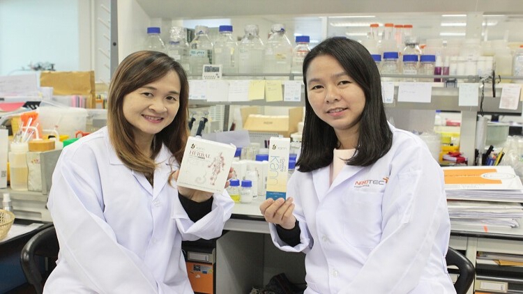 ‘กัญญ์ เฮอร์เบิล’ แปลงไพล-ขมิ้นชัน สู่นวัตกรรมนาโน ลดปวดเมื่อย
