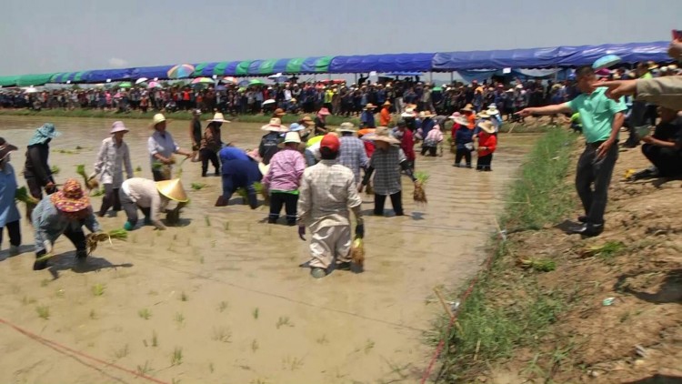 ภาคเกษตรโดนด้วย ‘หั่นจีดีพีเกษตร’ โตแค่0.5-1.5%