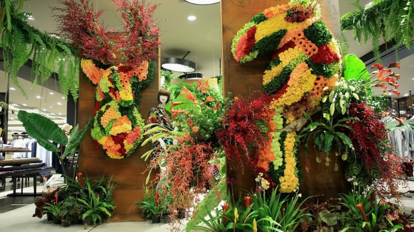 ชมดอกไม้...ในห้าง