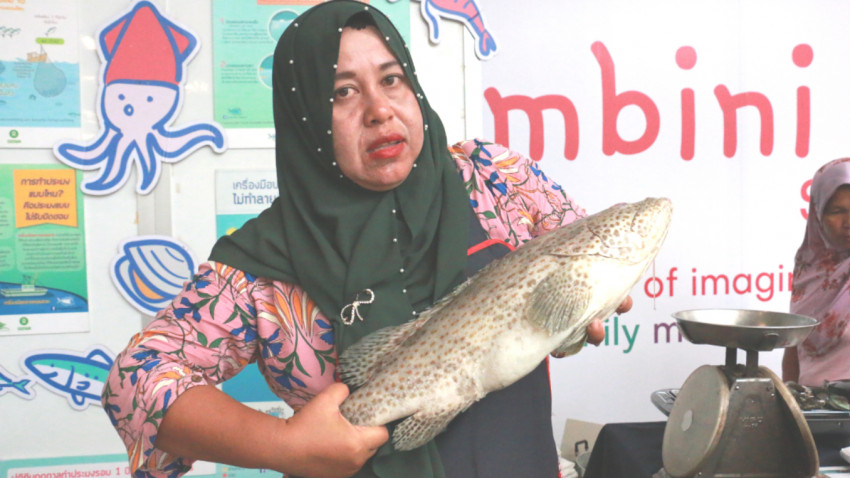 ห่วงโซ่ Safe Food