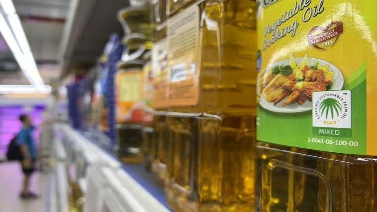 นโยบายน้ำมันปาล์ม “ยั่งยืน” กดดันแบรนด์ดังโลกเร่งปรับตัว