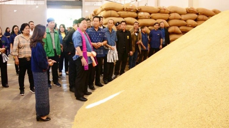 ก.เกษตรฯ คิกออฟ เปิดจุดรับซื้อเมล็ดพันธุ์ข้าวปี 63