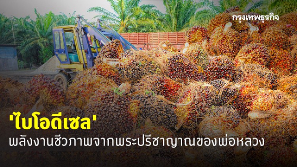 'ไบโอดีเซล' พลังงานชีวภาพจากพระปรีชาญาณของพ่อหลวง