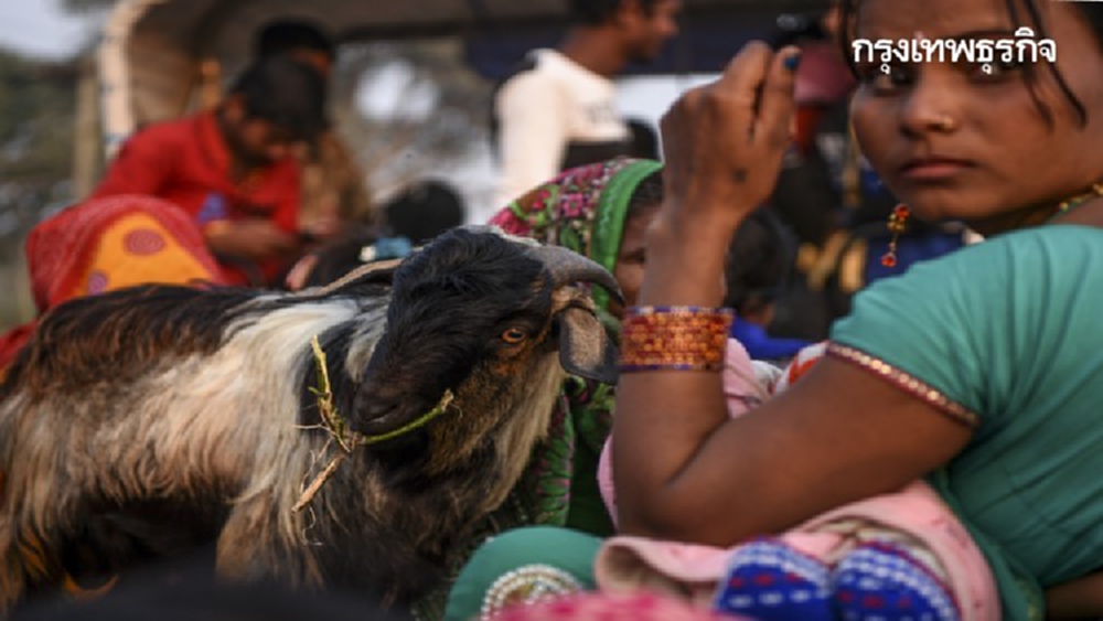 เริ่มแล้ว! เทศกาลเชือดสัตว์บูชายัญครั้งใหญ่สุดของโลก