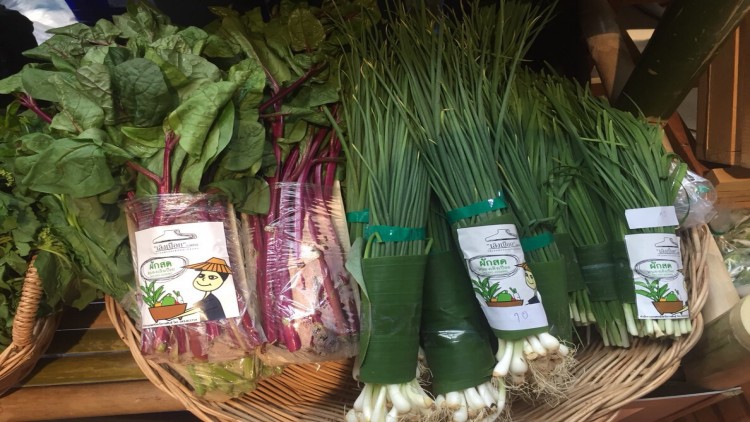 'สหกรณ์เกษตรหนองเลิงเปือย' ตามรอยเกษตรทฤษฎีใหม่ของในหลวง ร.9 สร้างรายได้ยั่งยืน